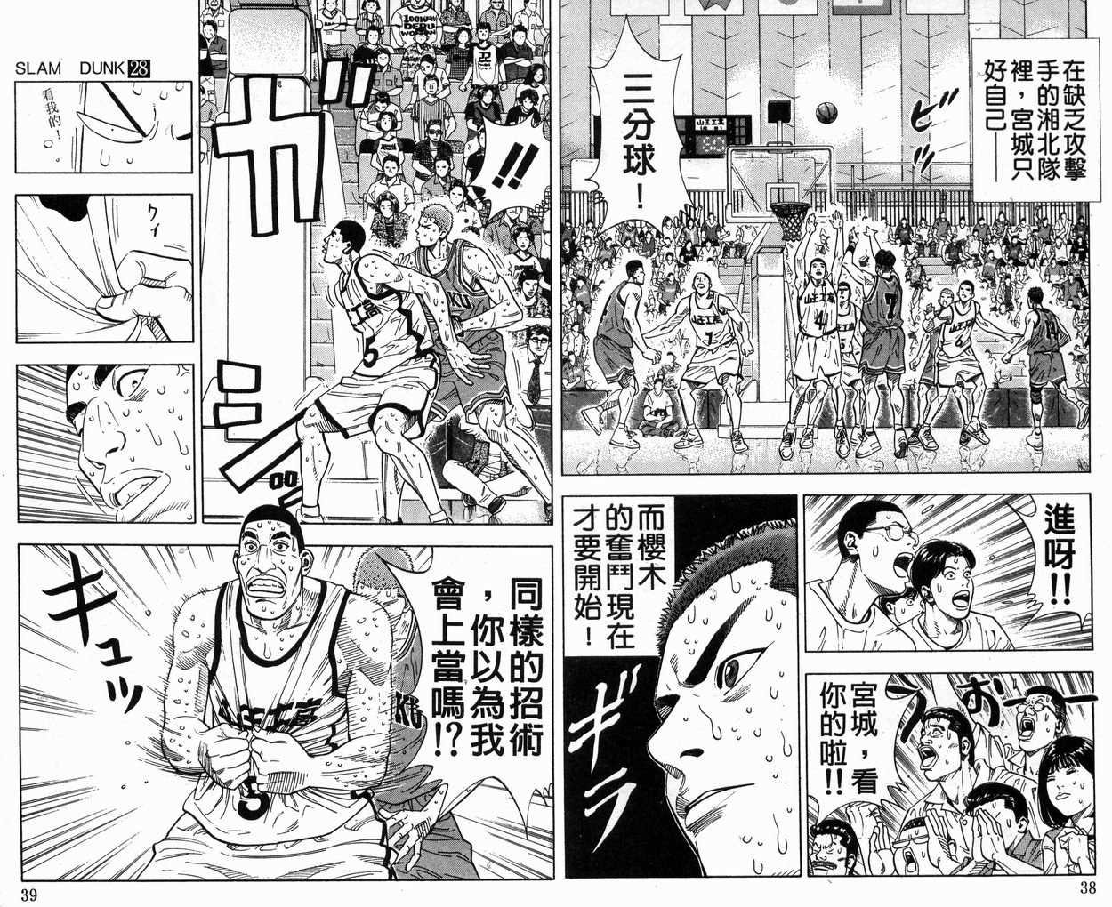 第28卷