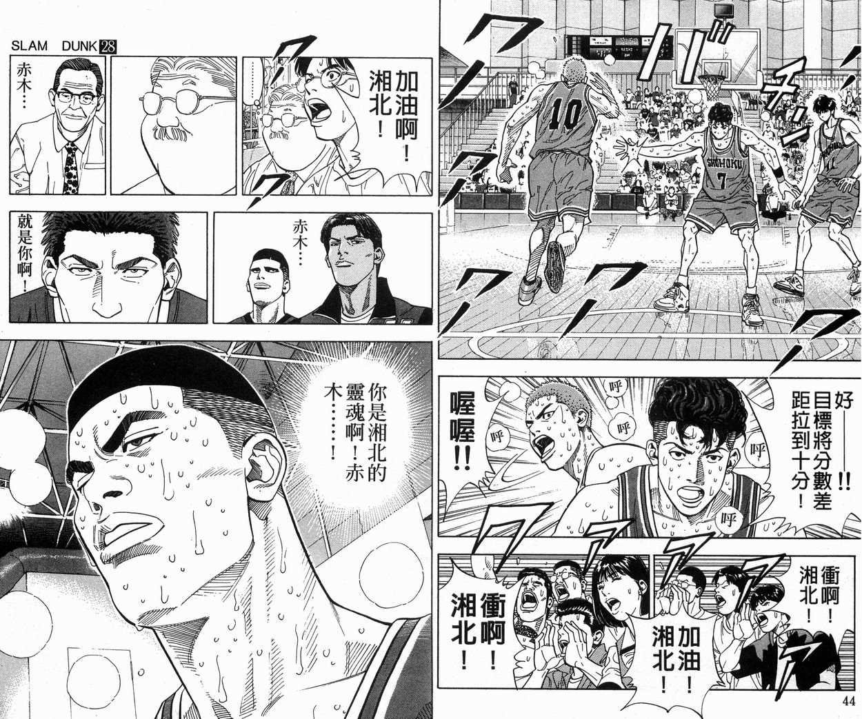 第28卷