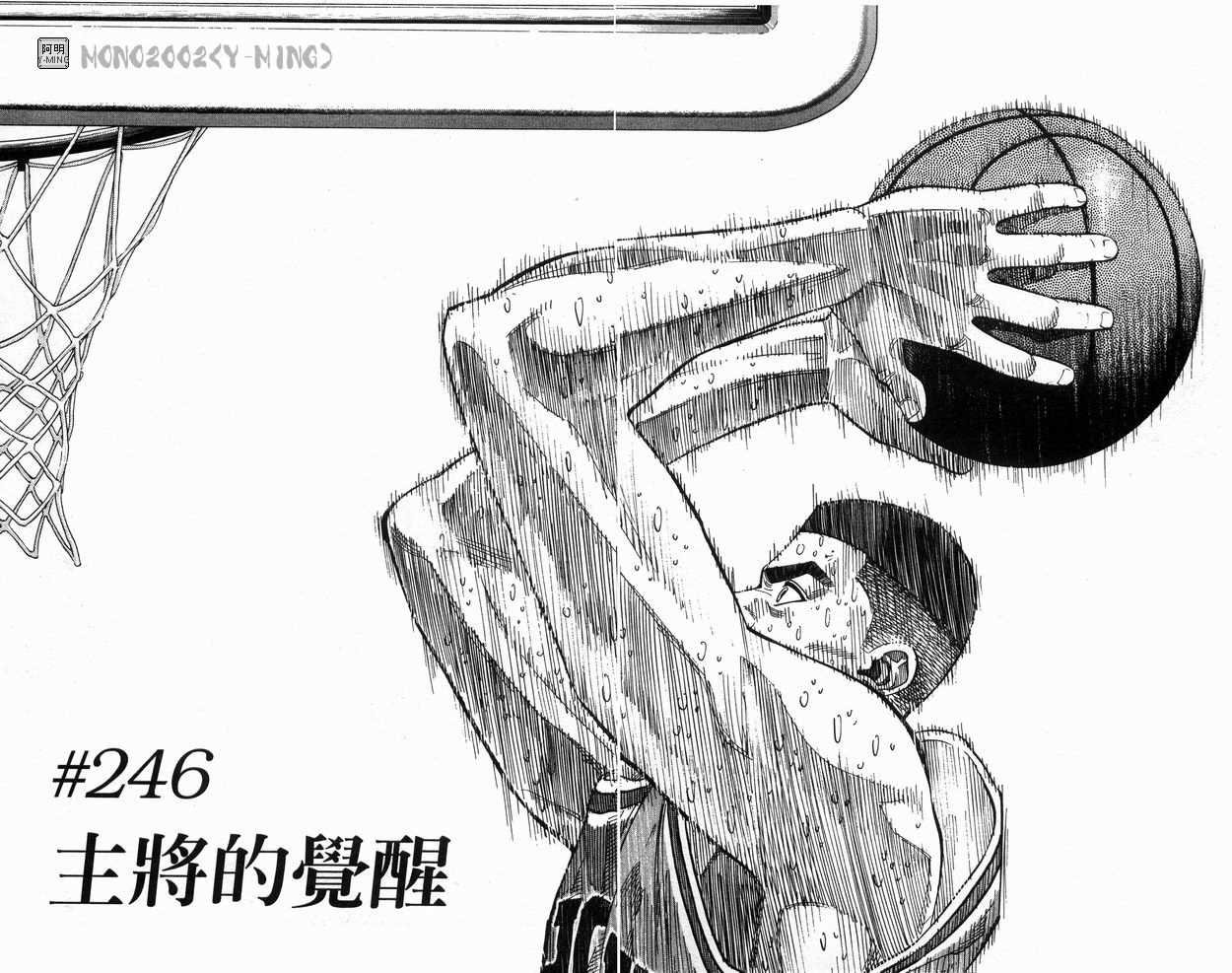 第28卷