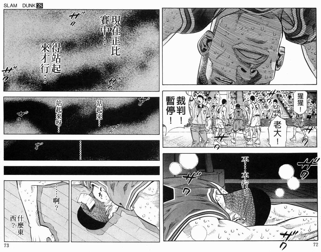 第28卷