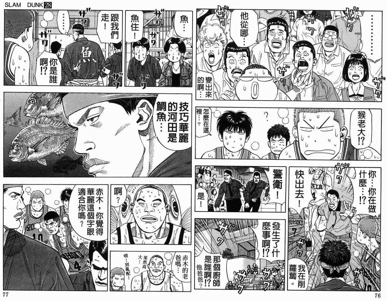 第28卷