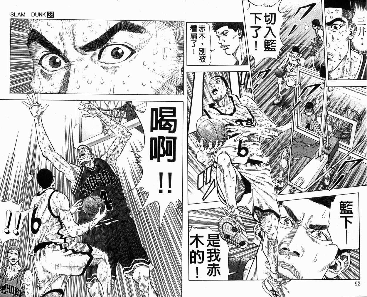 第28卷