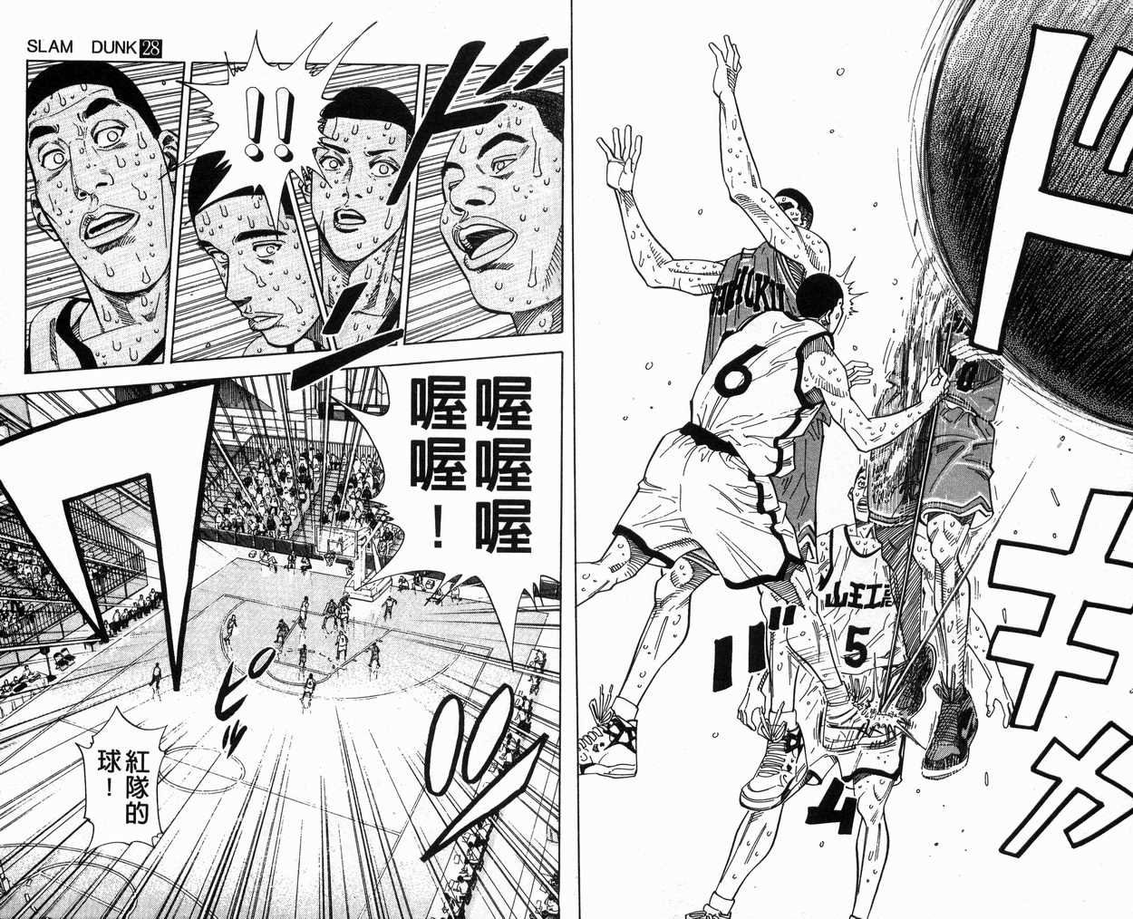 第28卷