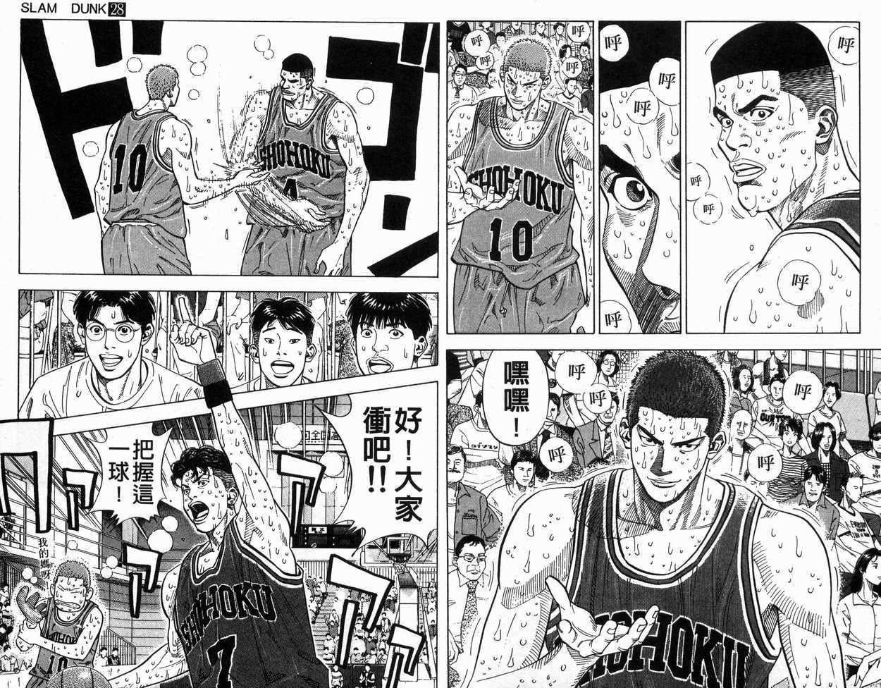 第28卷