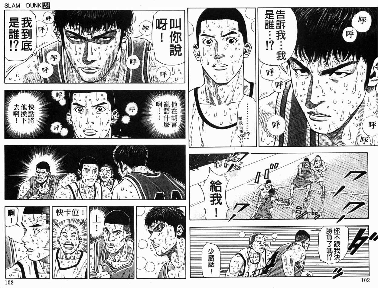 第28卷