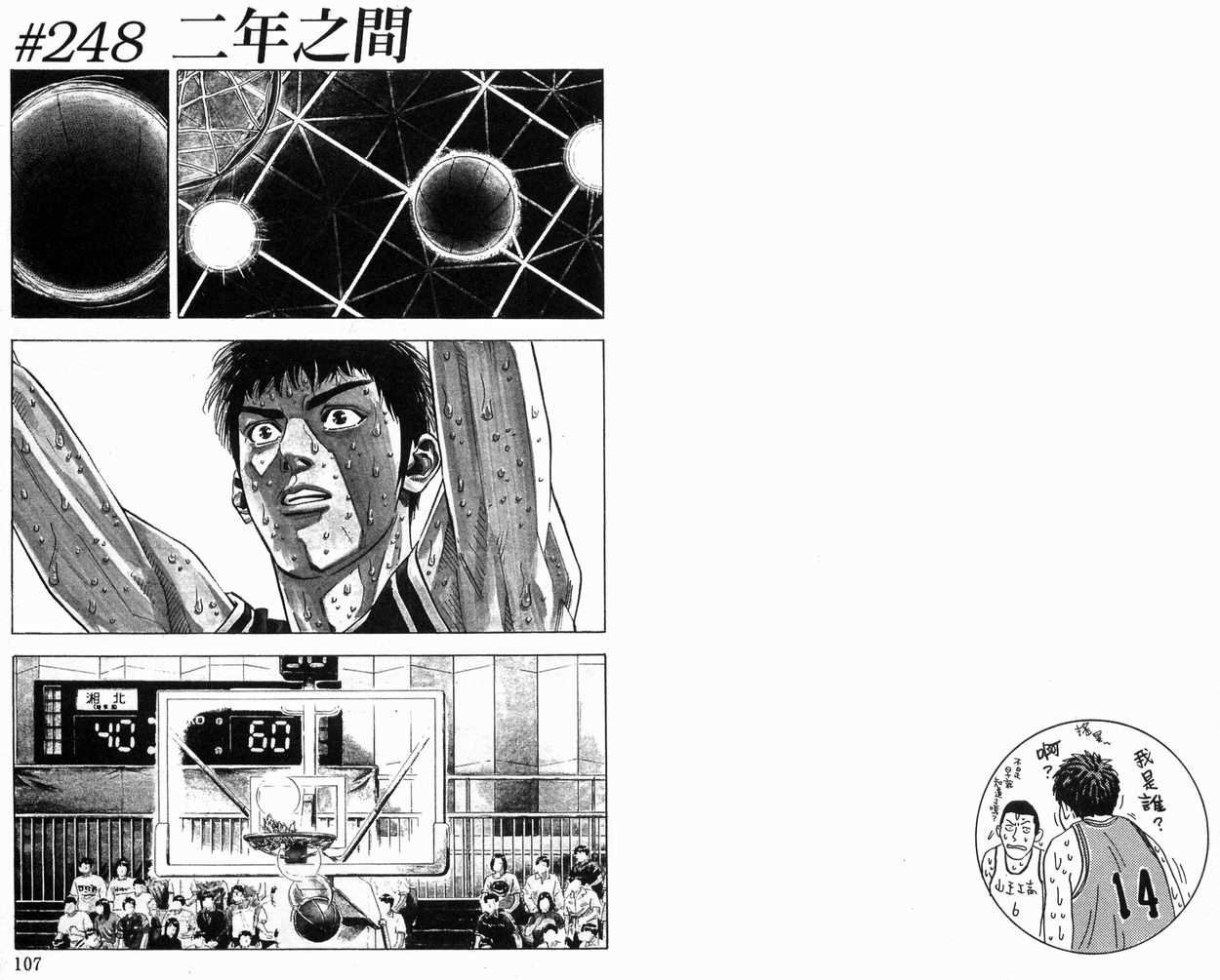 第28卷