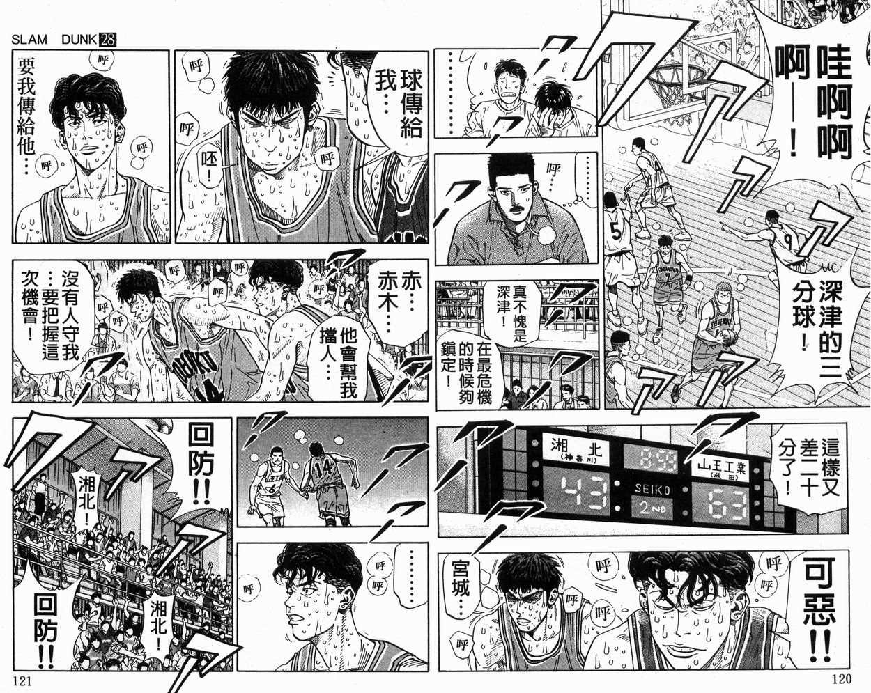 第28卷