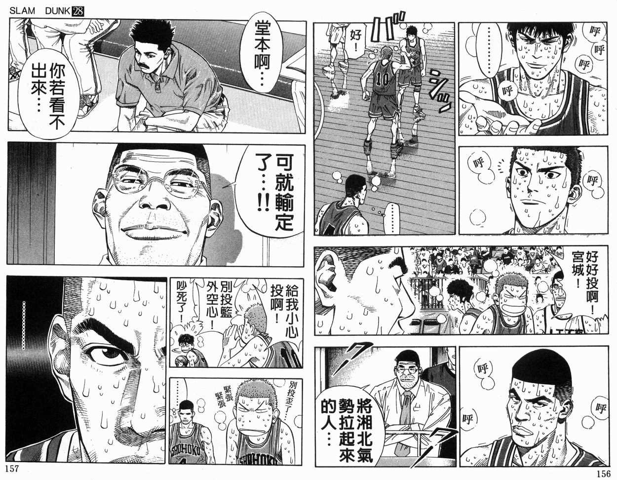 第28卷
