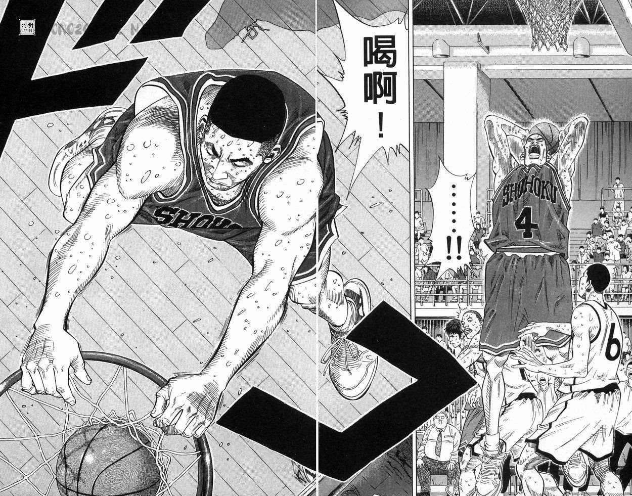 第28卷