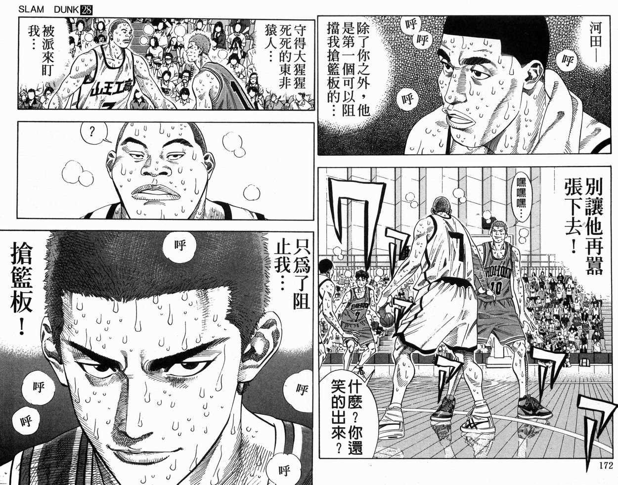 第28卷