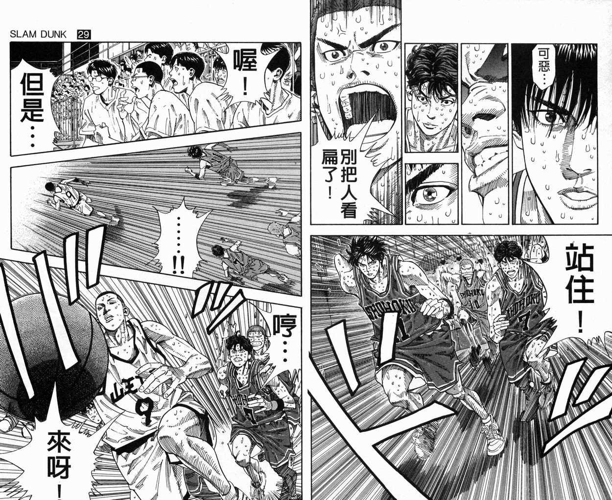 第29卷
