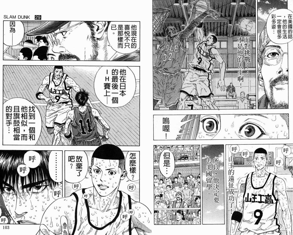 第29卷