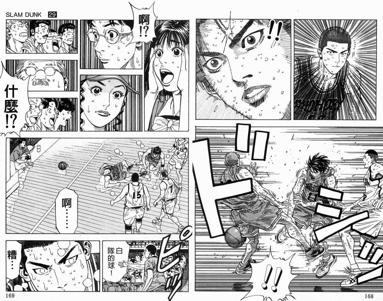 第29卷