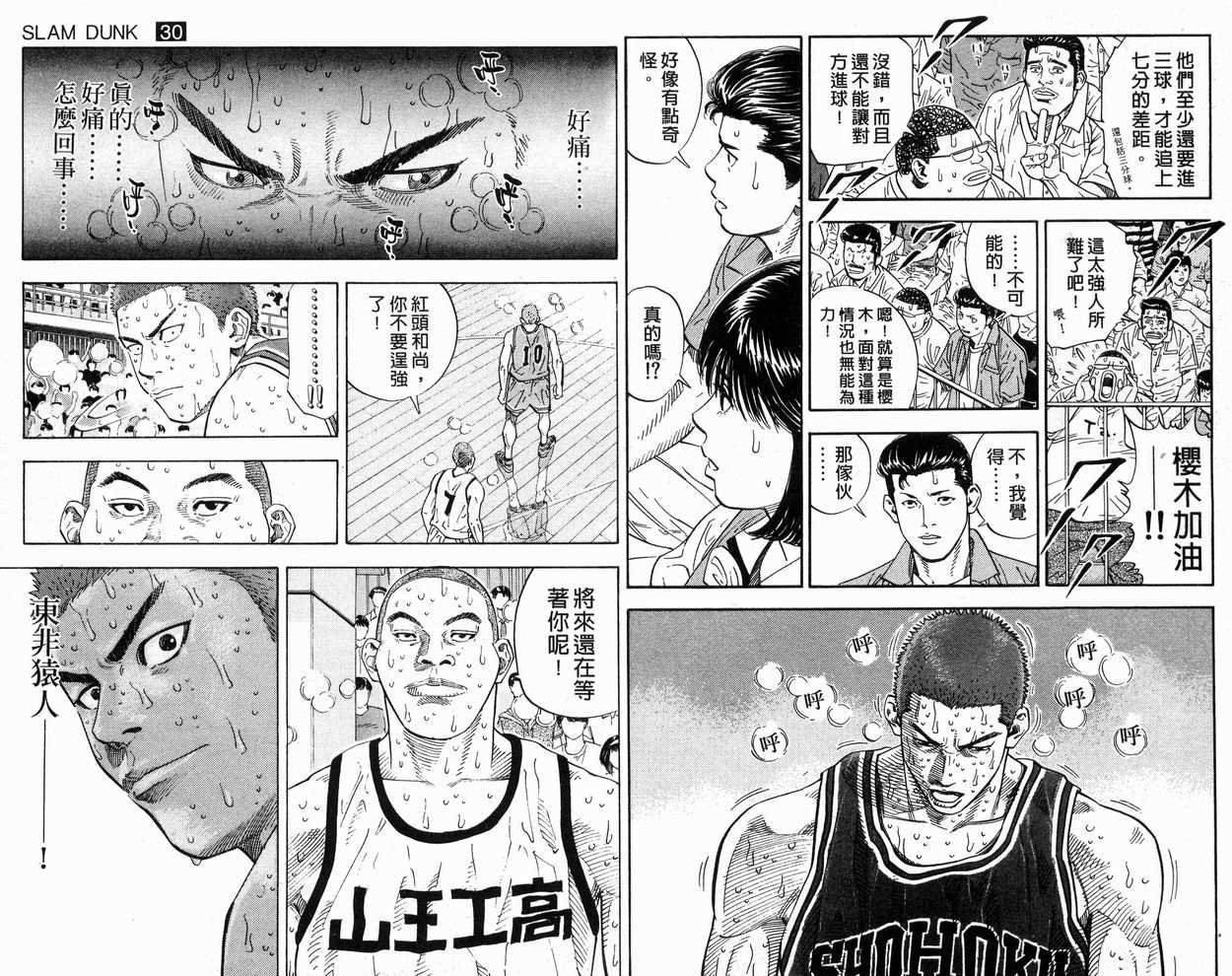 第30卷
