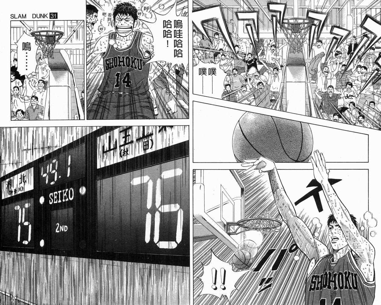 第31卷