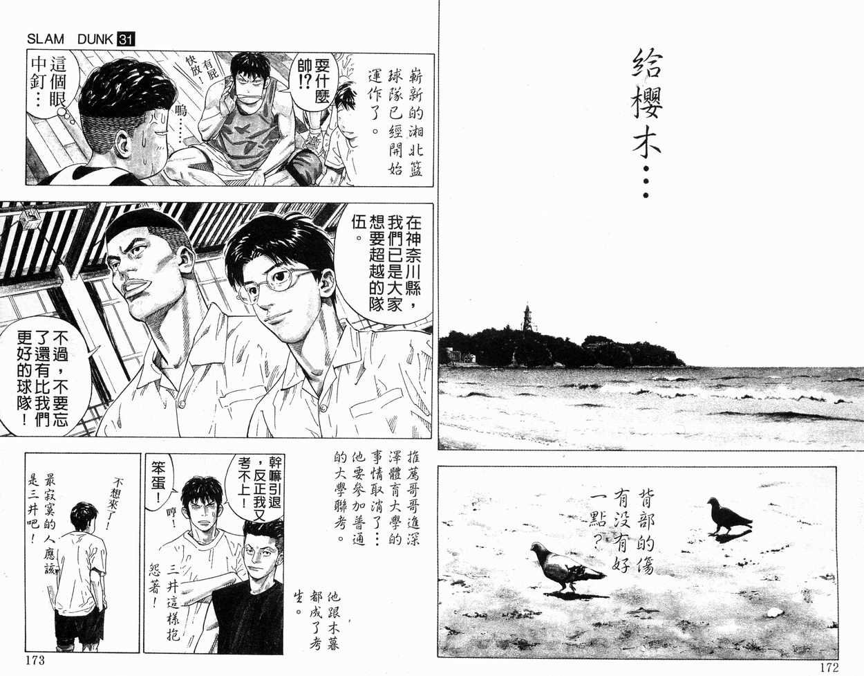 第31卷