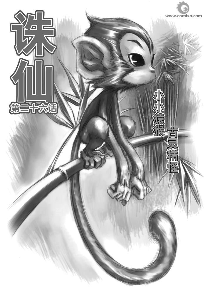 第30回