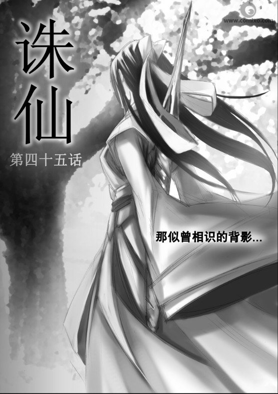 第45回