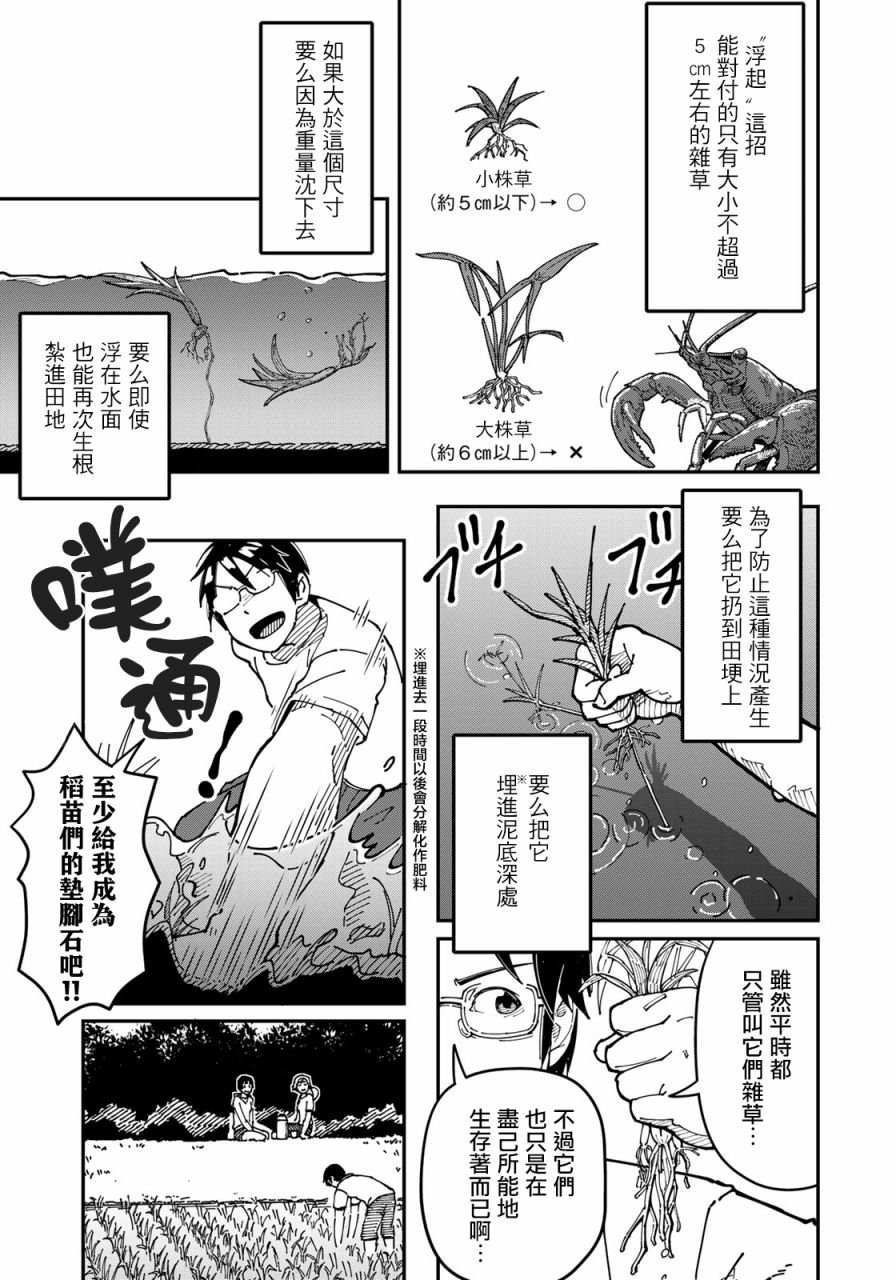 第3话 田地中的坦白