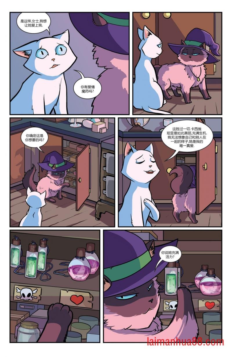 第13卷