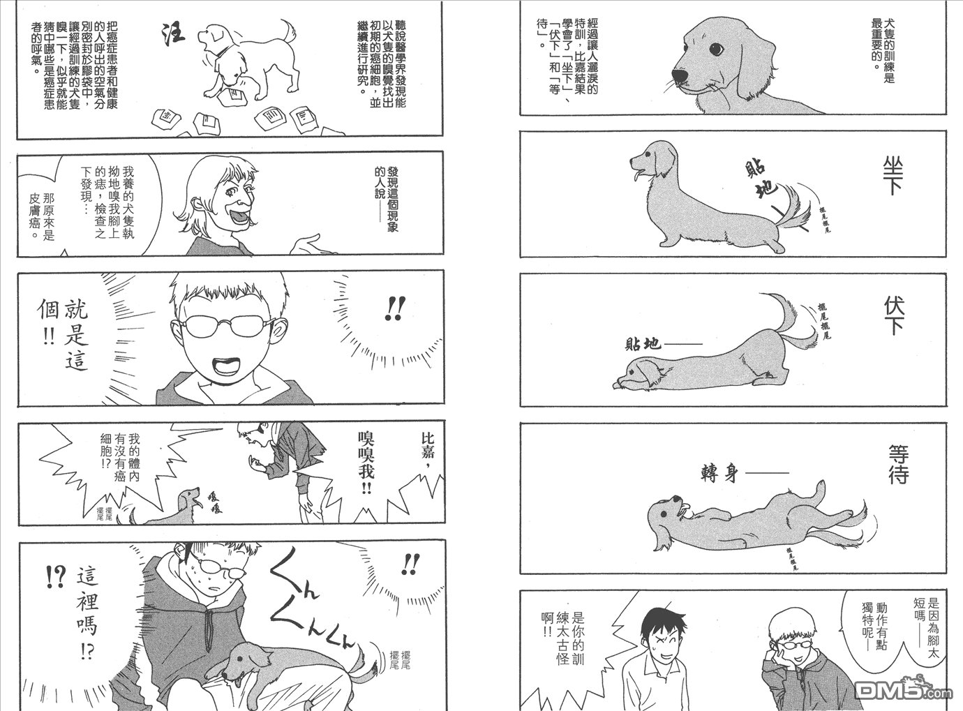 甲斐谷忍短篇集