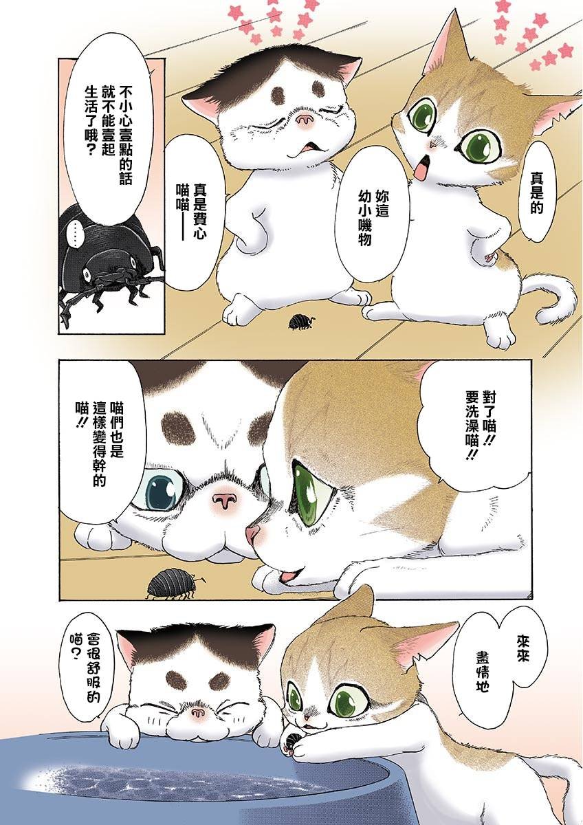 第10话