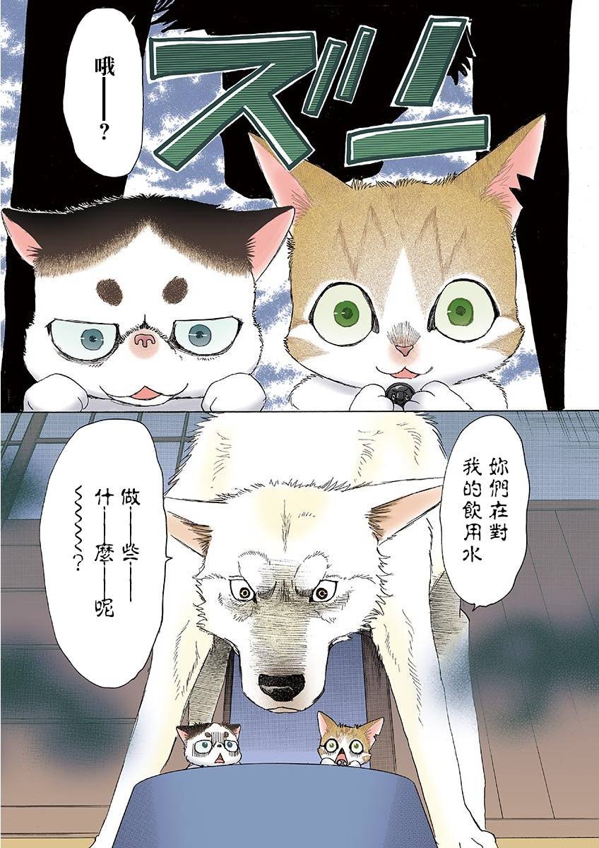 第10话