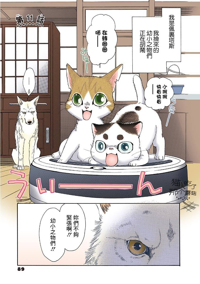 第11话