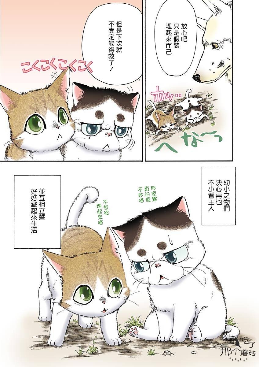 第11话