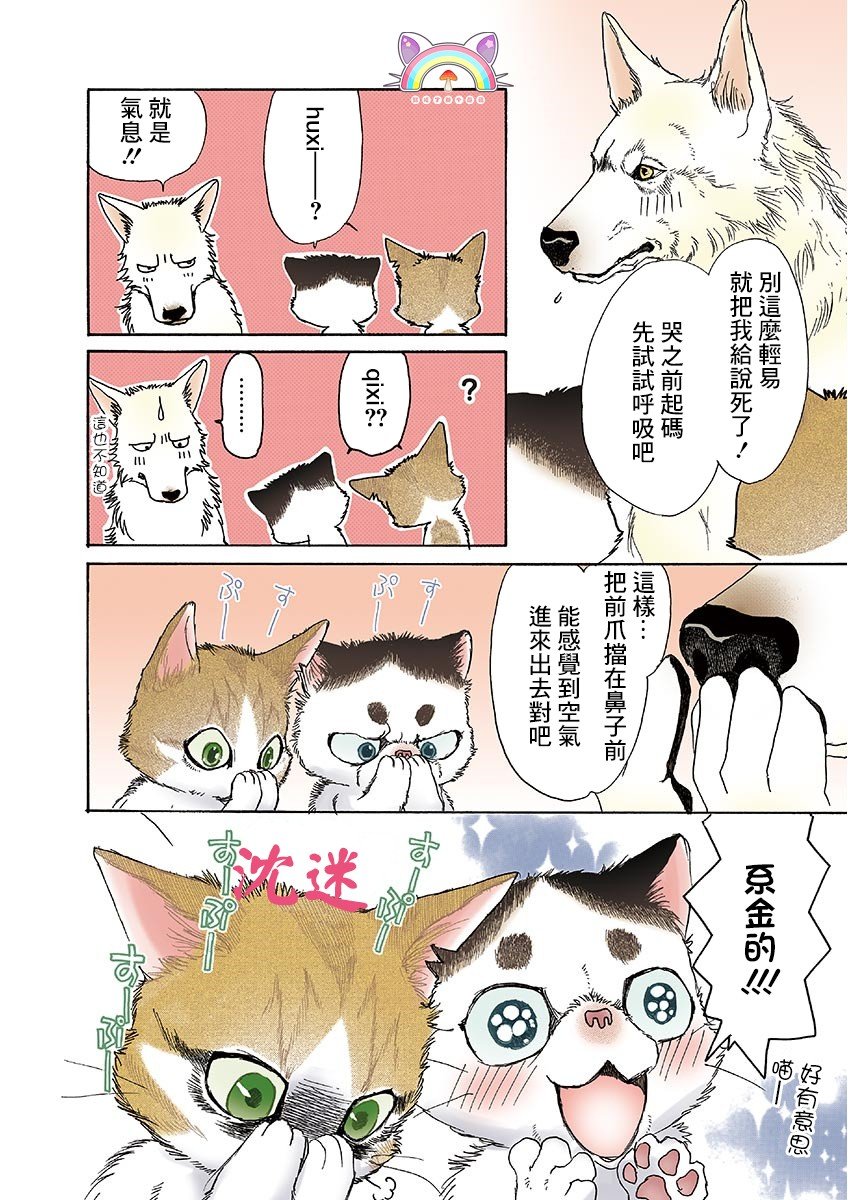 第9话