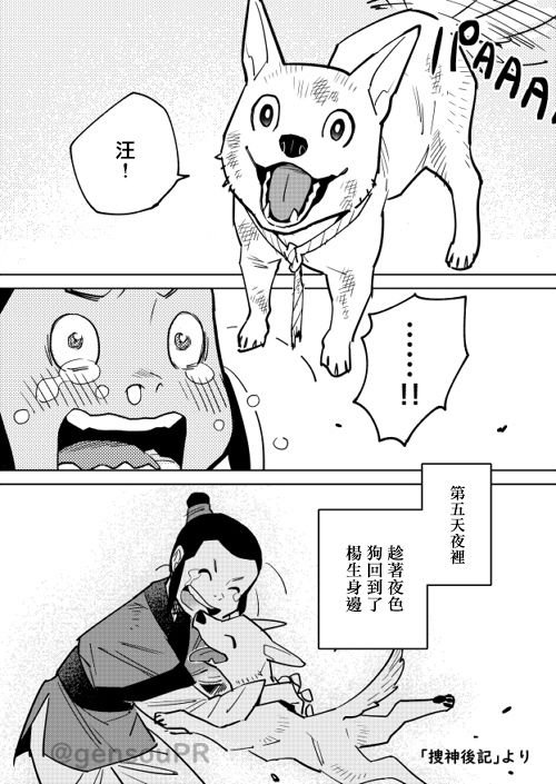 杨生之犬
