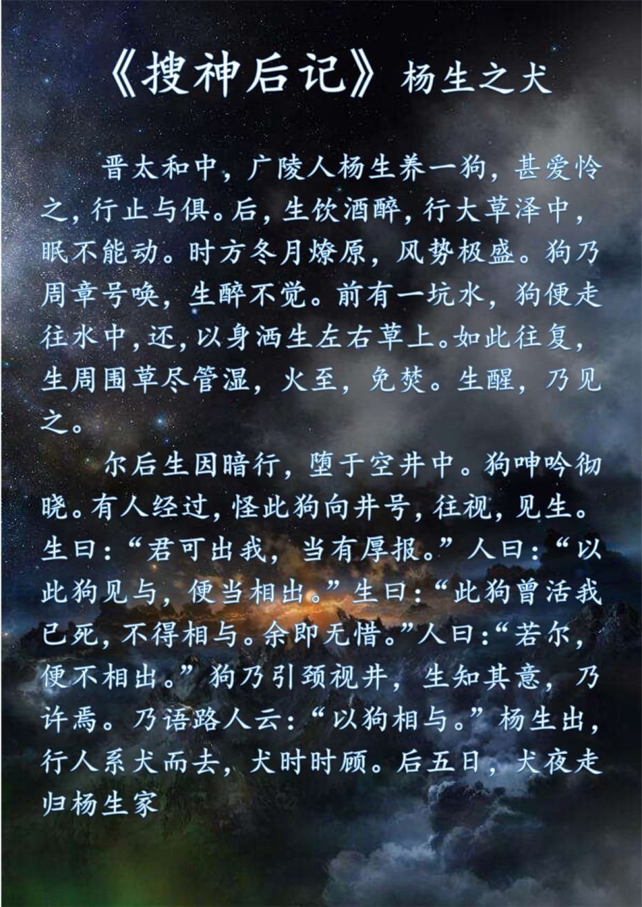 杨生之犬