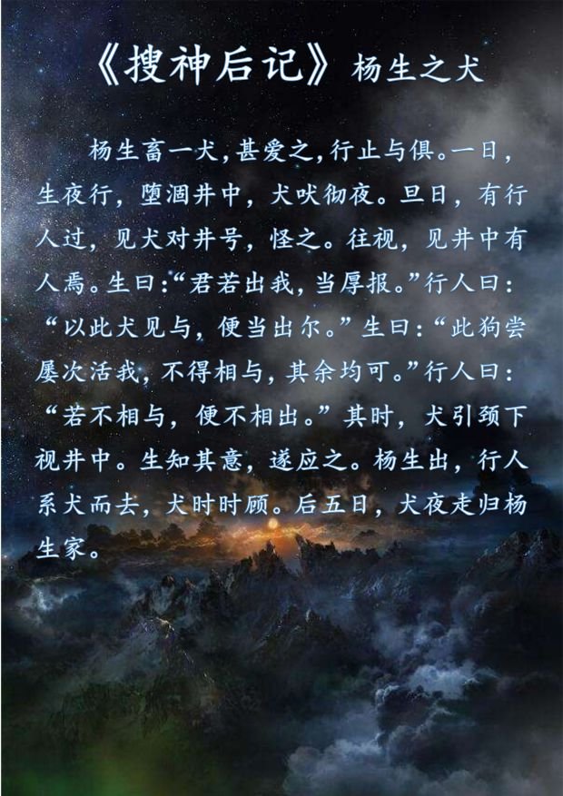 杨生之犬
