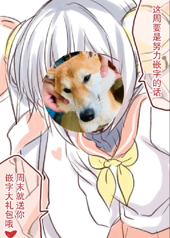 第4回