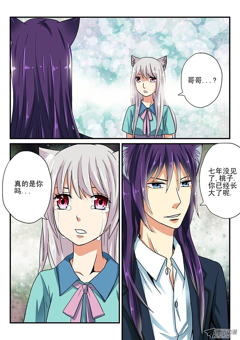 第14话 桃子的过去