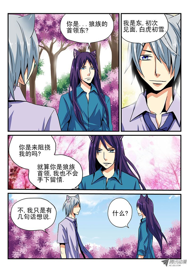 第22话 期待的明天