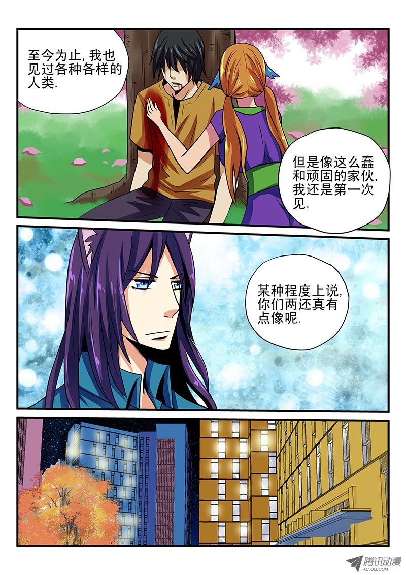 第22话 期待的明天