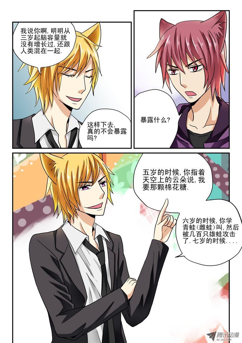 第5话 白狸登场