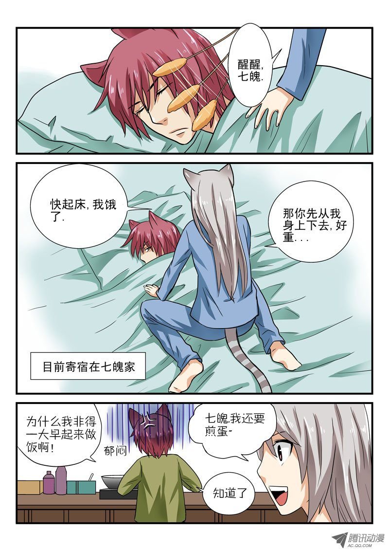 第7话 桃子的一天