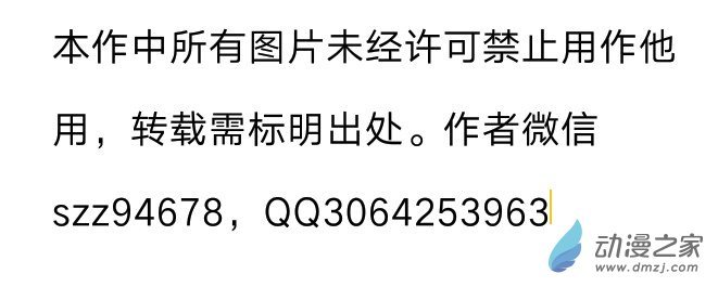 公告