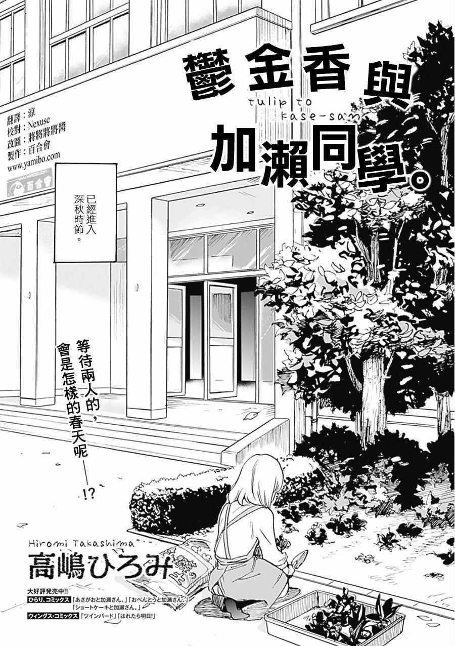 17 郁金香与加濑同学