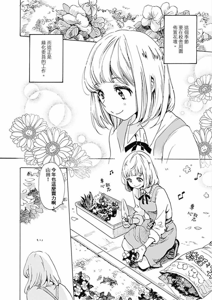 17 郁金香与加濑同学