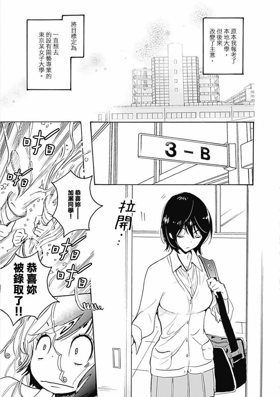 17 郁金香与加濑同学