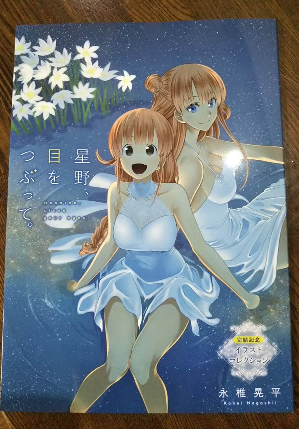 完结纪念画集