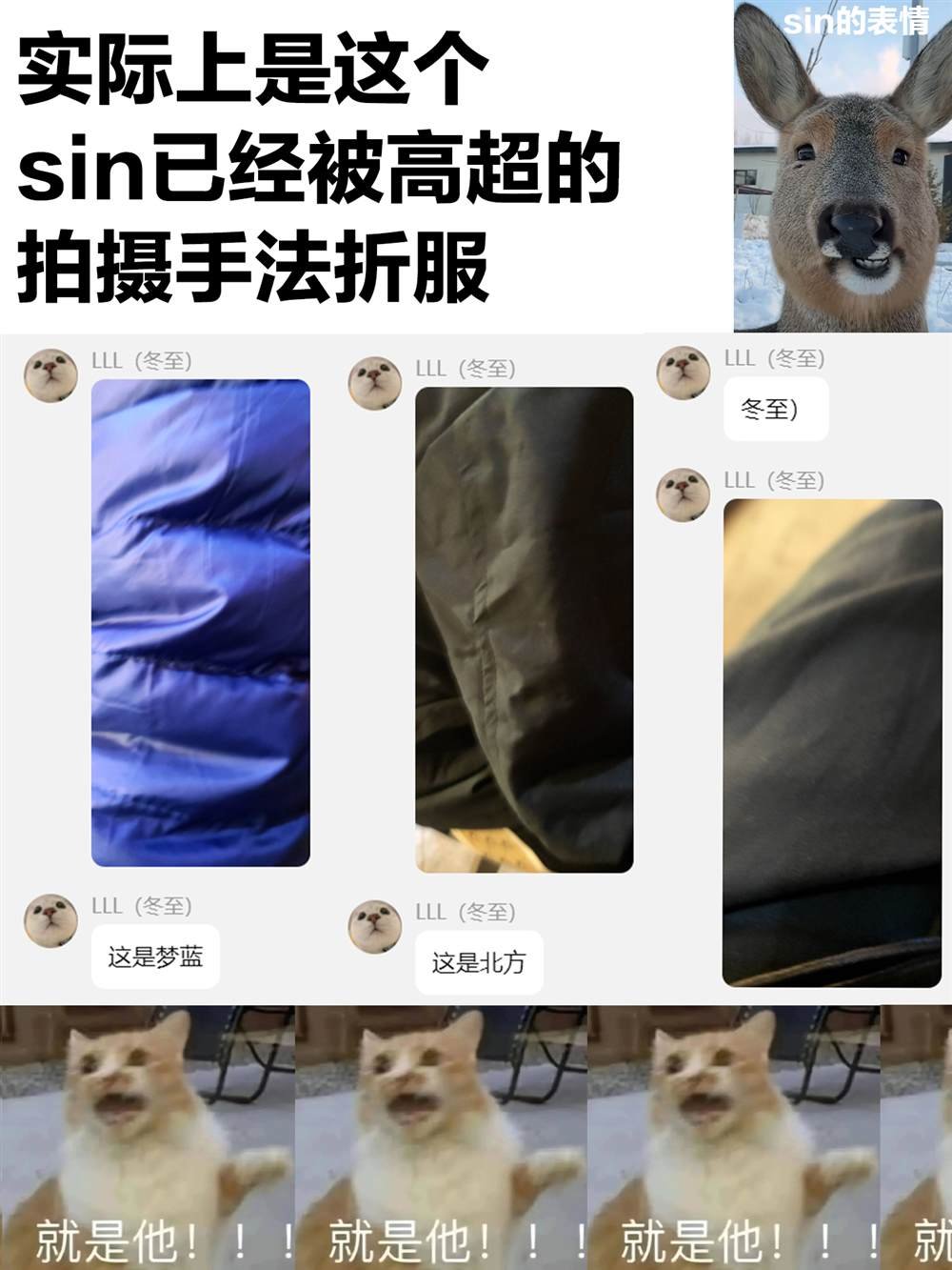 第31回