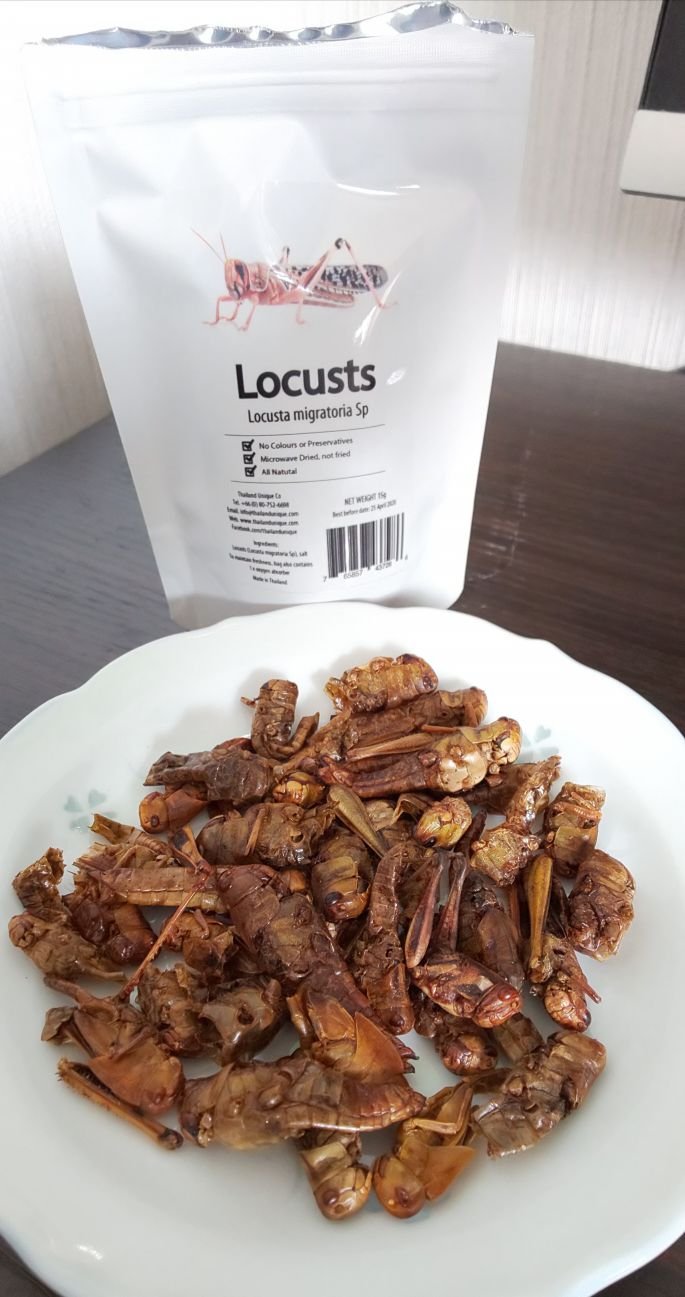 美食体验3