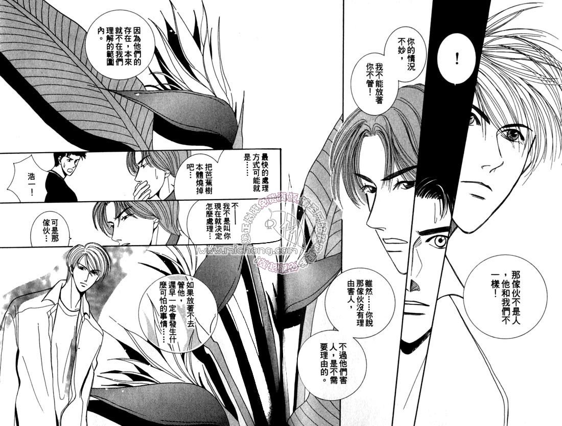 第2卷 《天堂鸟的日子》