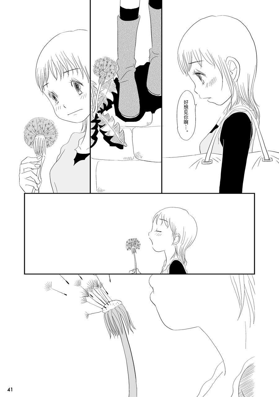 蒲公英