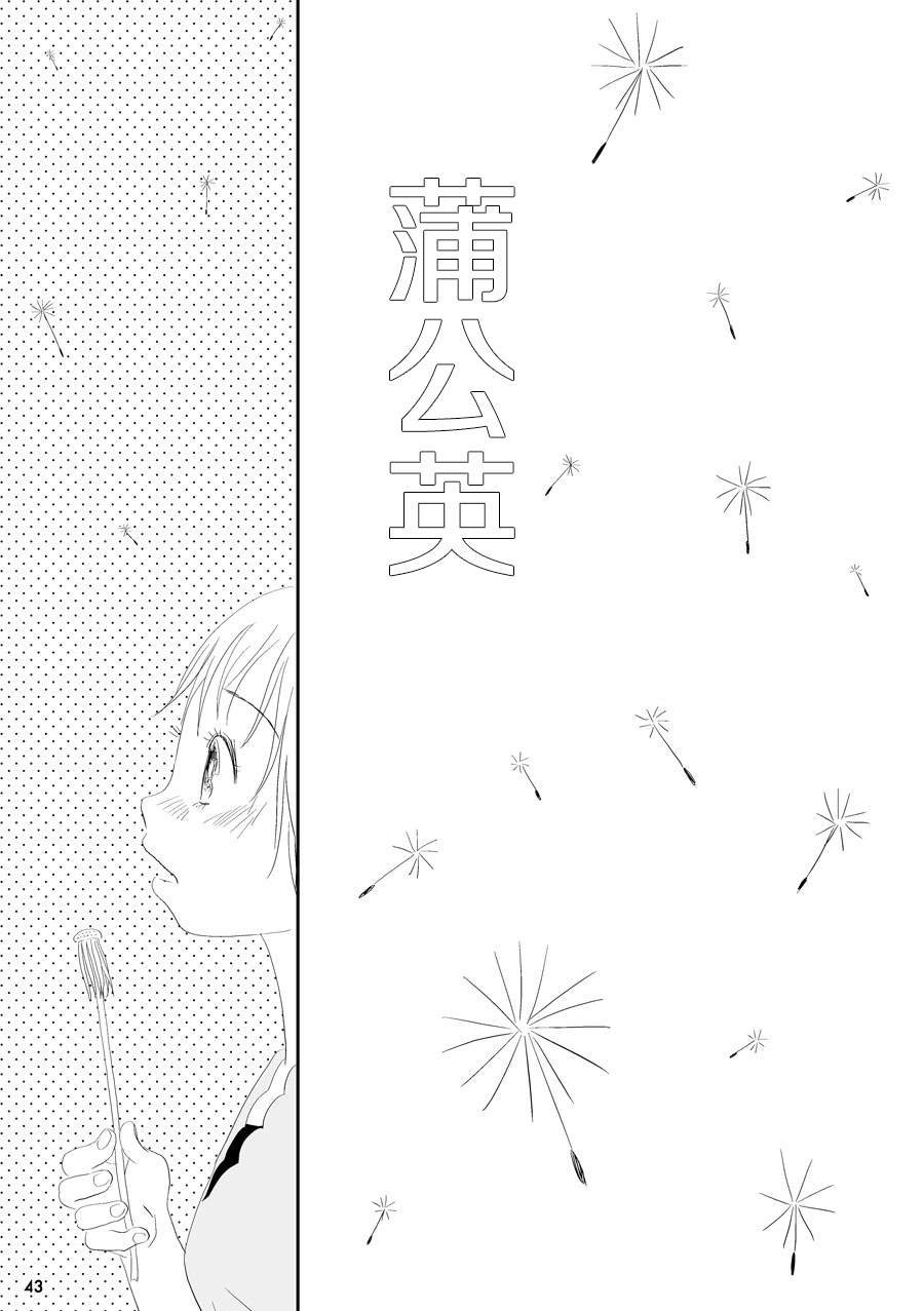 蒲公英