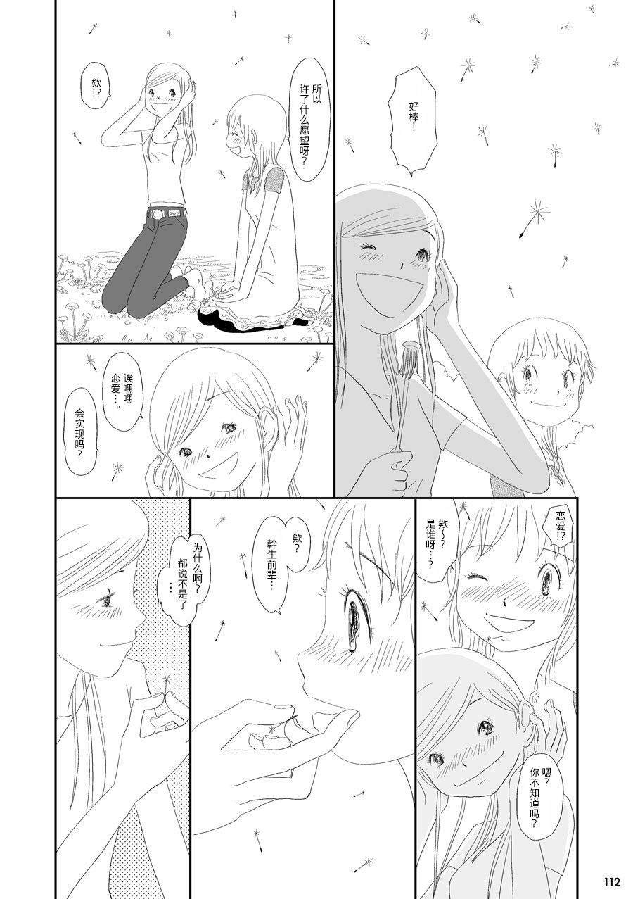 蒲公英